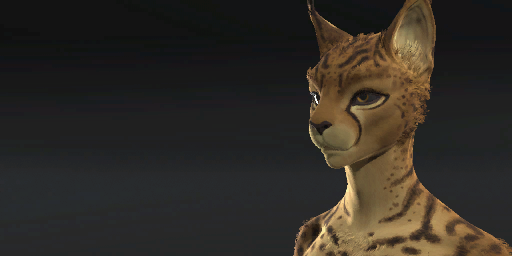 Cheetah Pelt