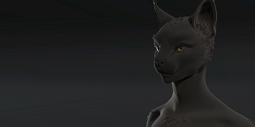 Dark Pelt