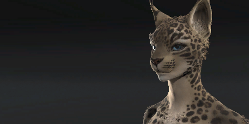 Jaguar Pelt Grey