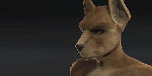 Fennec Jackal