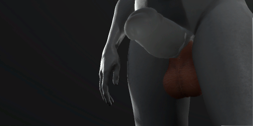 Ample Scrotum