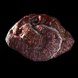 Beast Entrails