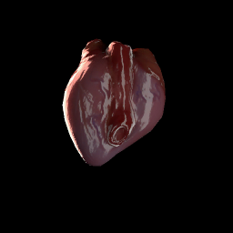 Beast Heart