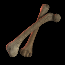 Bones