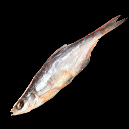 Sabuthi Perch