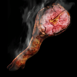 Seared Meat