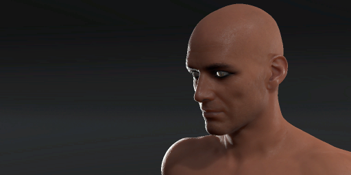 Human Male Form