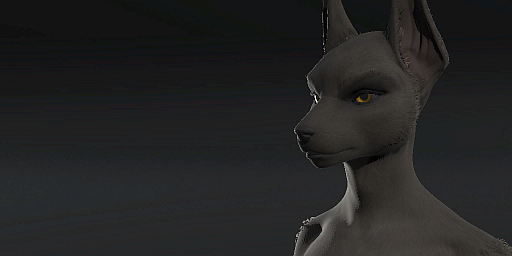 Jackal Female Form