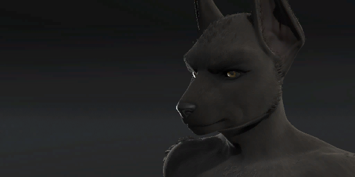 Jackal Male Form