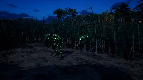 The nocturnal variant.